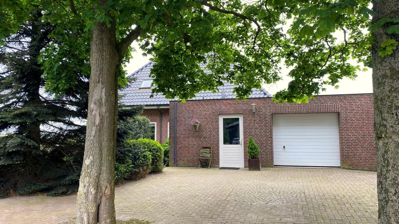 De Kolonie-Faciliteiten