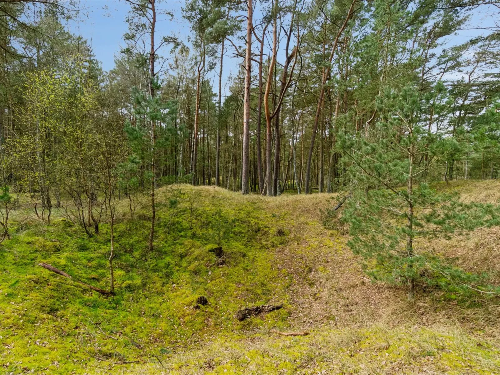 "Ava" - 850m from the sea-Buiten