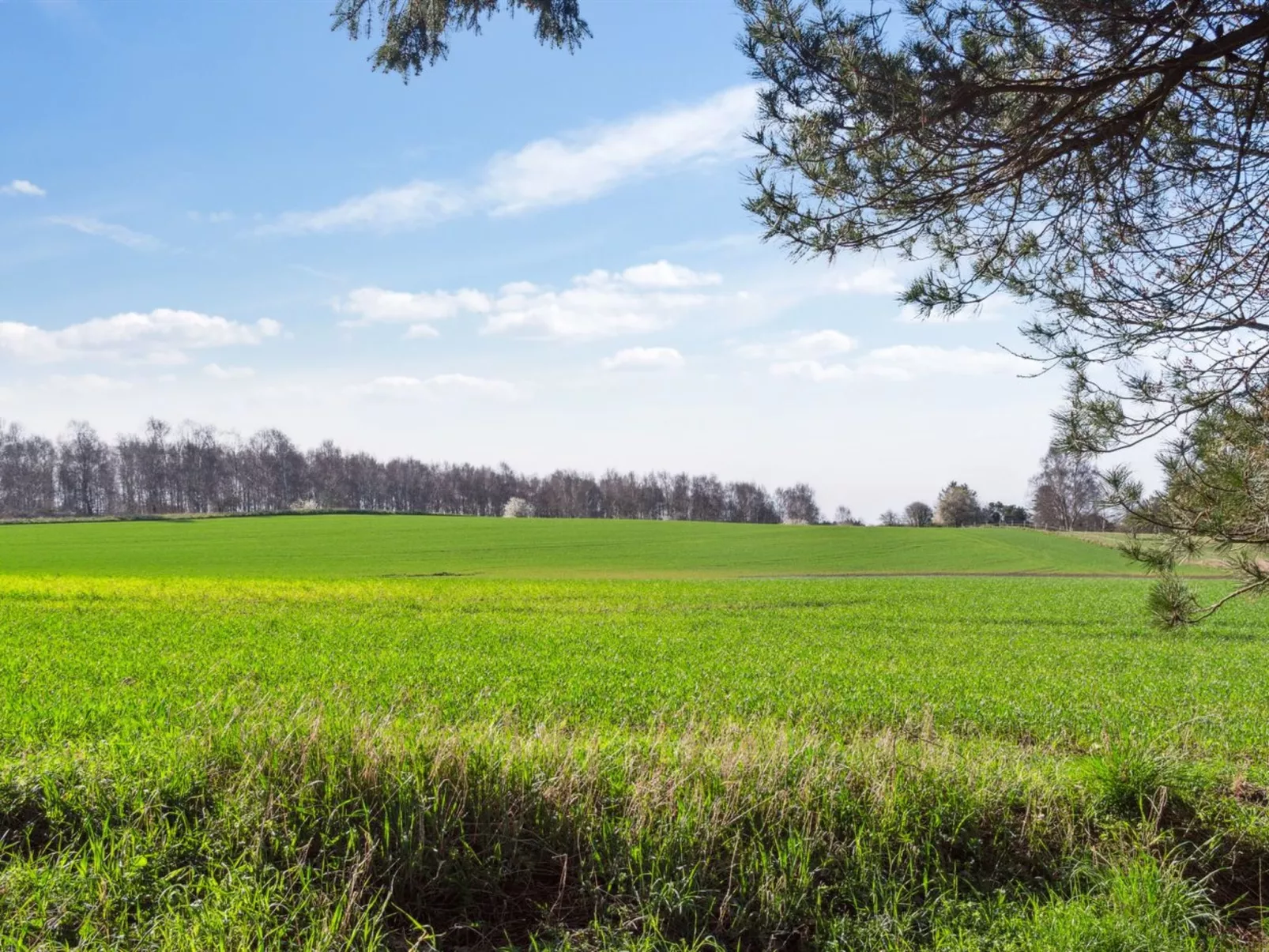 "Vojo" - 1.4km from the sea-Buiten