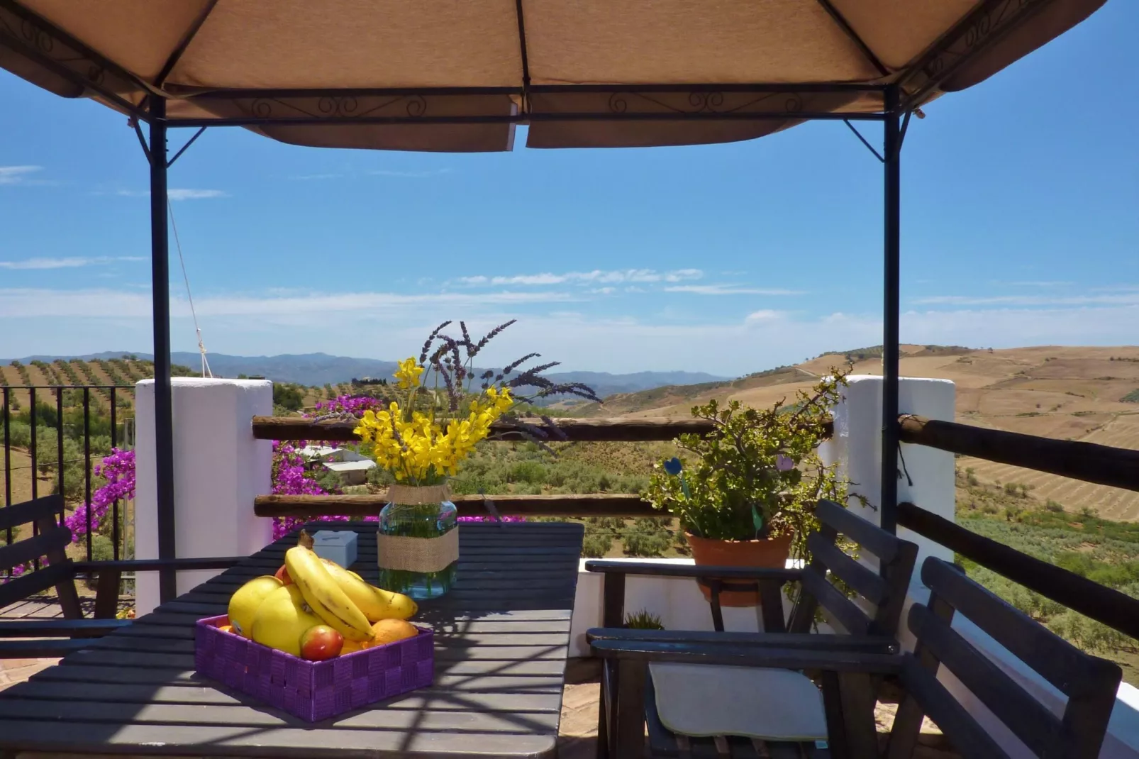 terracebalcony