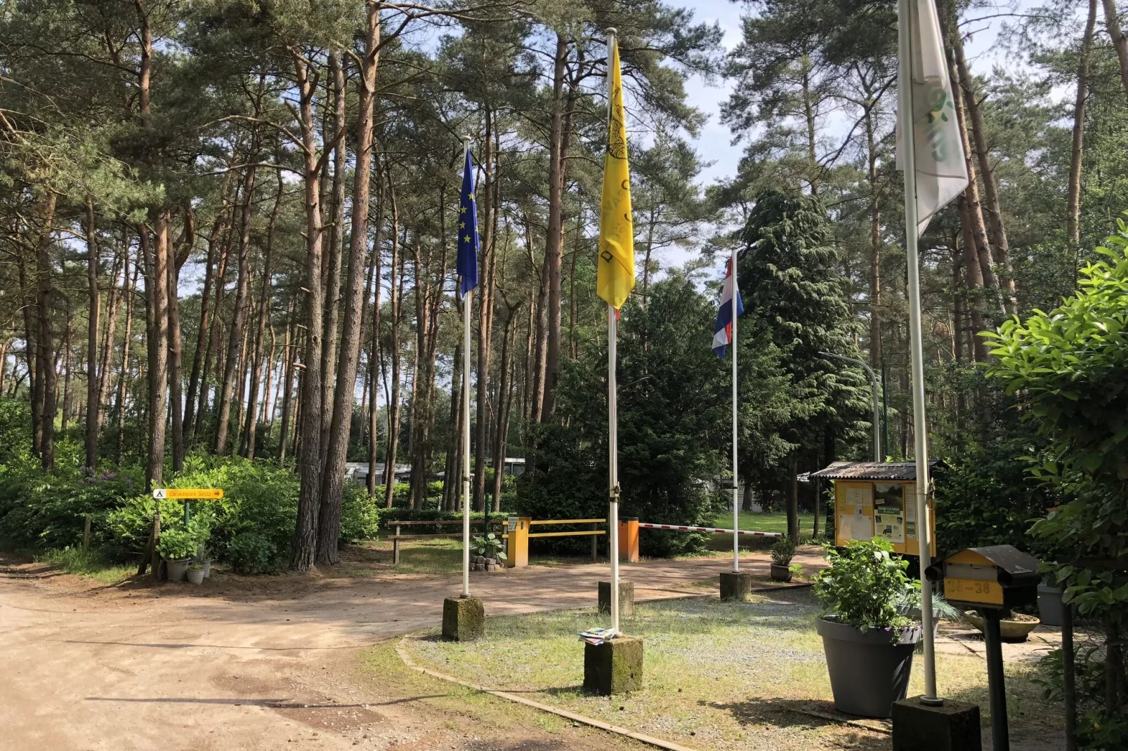 Chaletpark Siësta 1-Gebieden zomer 1km