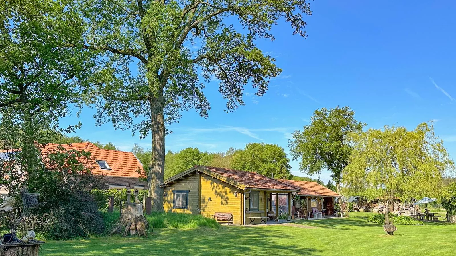 Onder de oude Eik-Buitenkant zomer