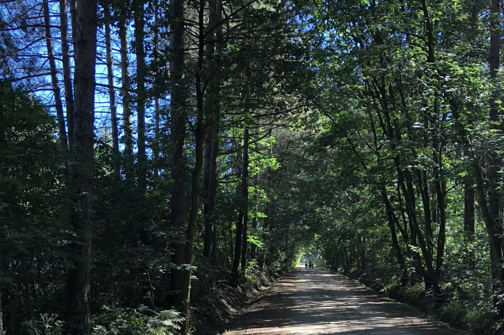 Chaletpark Siësta 1-Gebieden zomer 20km