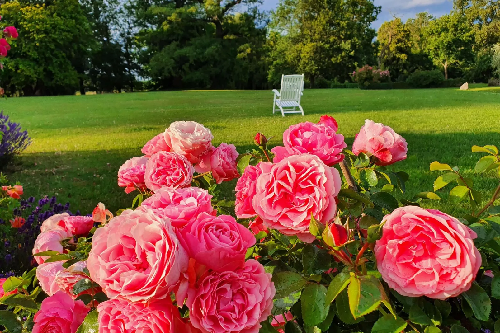 Alte Küche Gerdshagen-Tuinen zomer