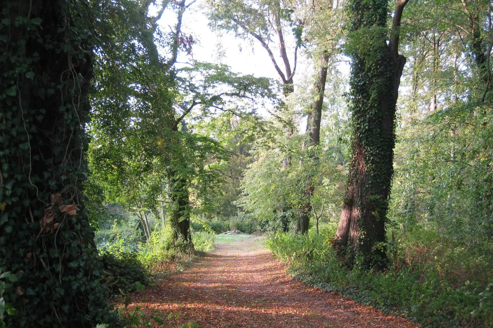 Alte Küche Gerdshagen-Gebieden zomer 1km