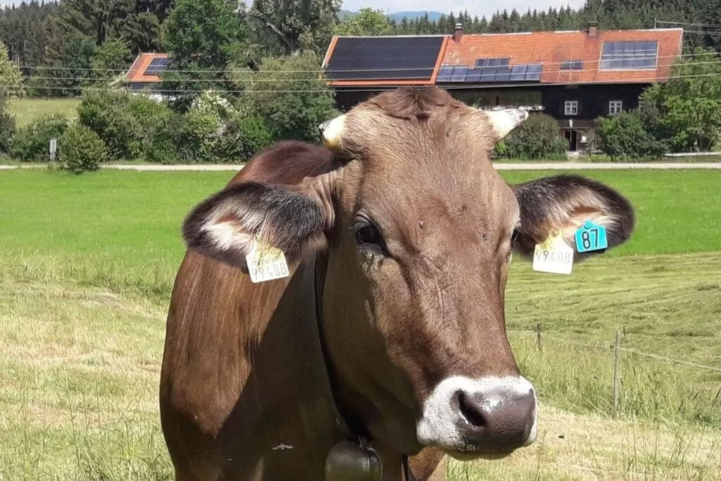 58748-Niet-getagd
