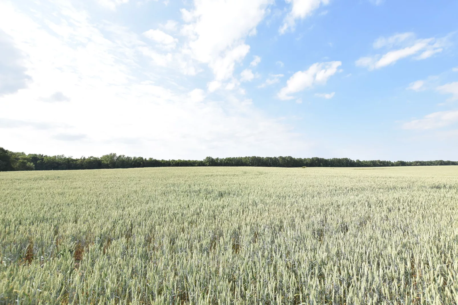 4-Raum-Wohnung Rügen-Gebieden zomer 5km