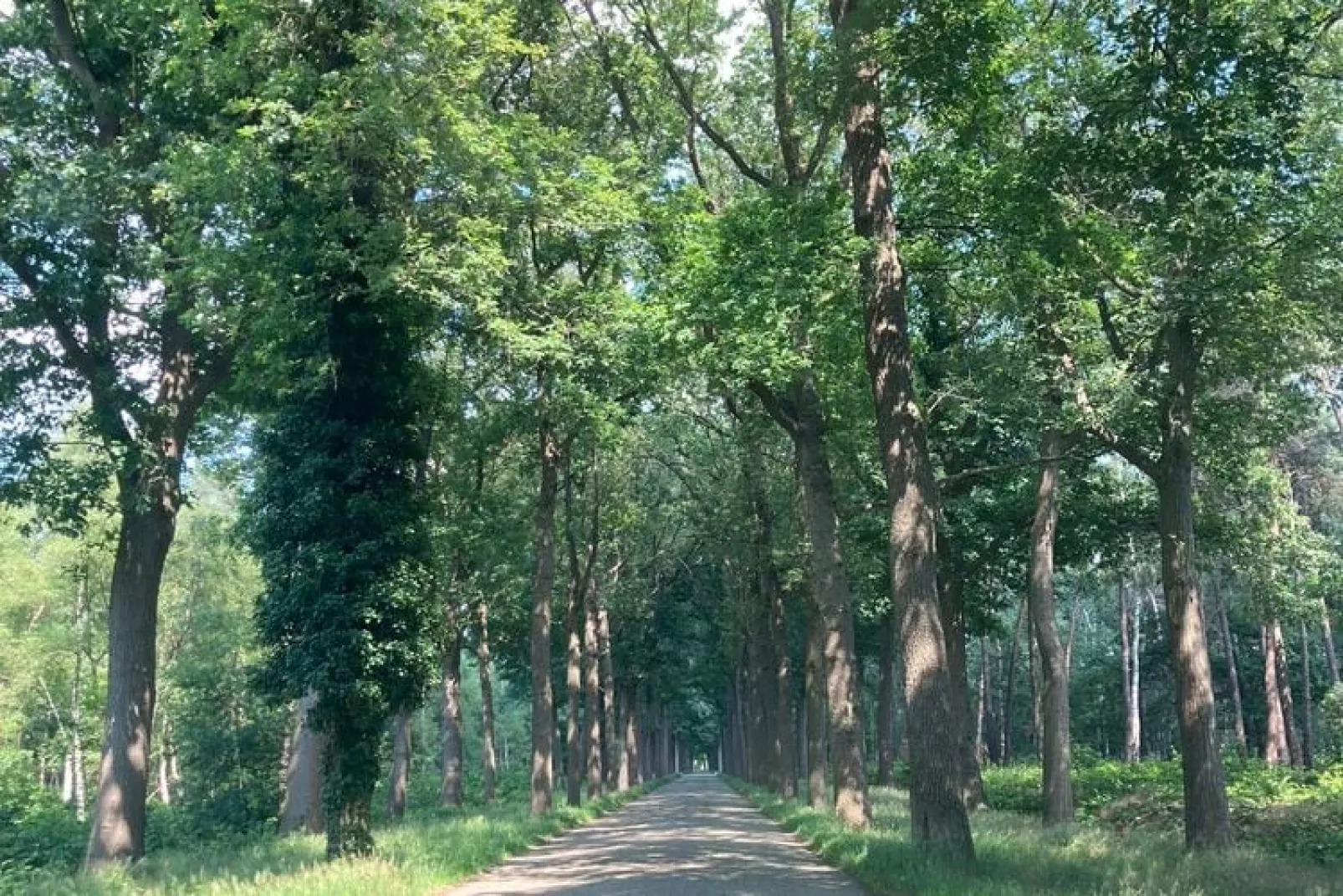 De Kolonist-Gebieden zomer 5km