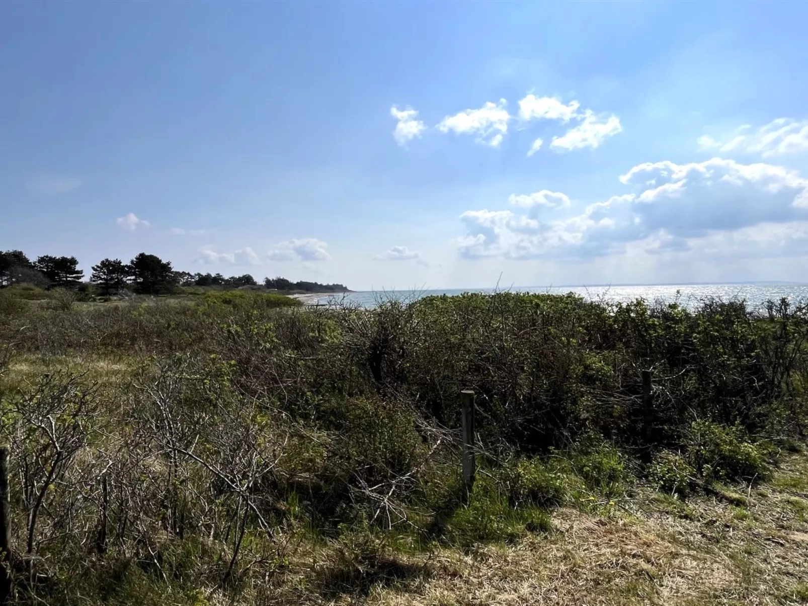 "Michael" - 250m from the sea-Buiten