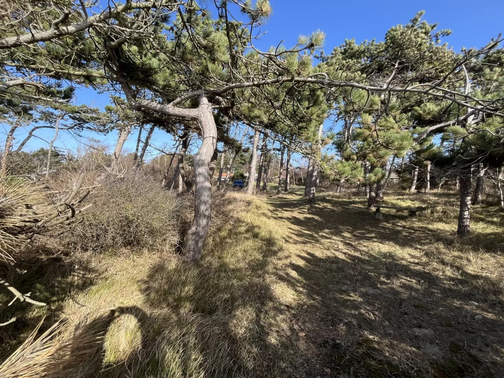 "Aimy" - 50m from the sea-Buiten