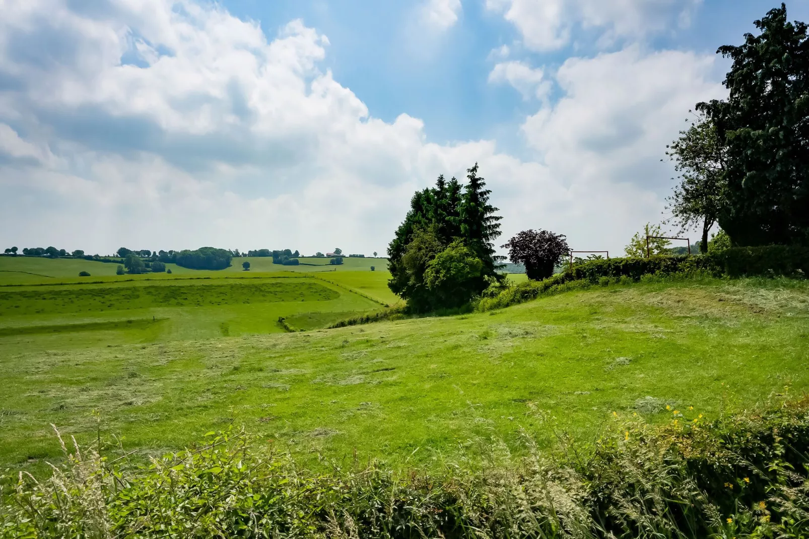 Buitenhuis De Graef-Gebieden zomer 5km