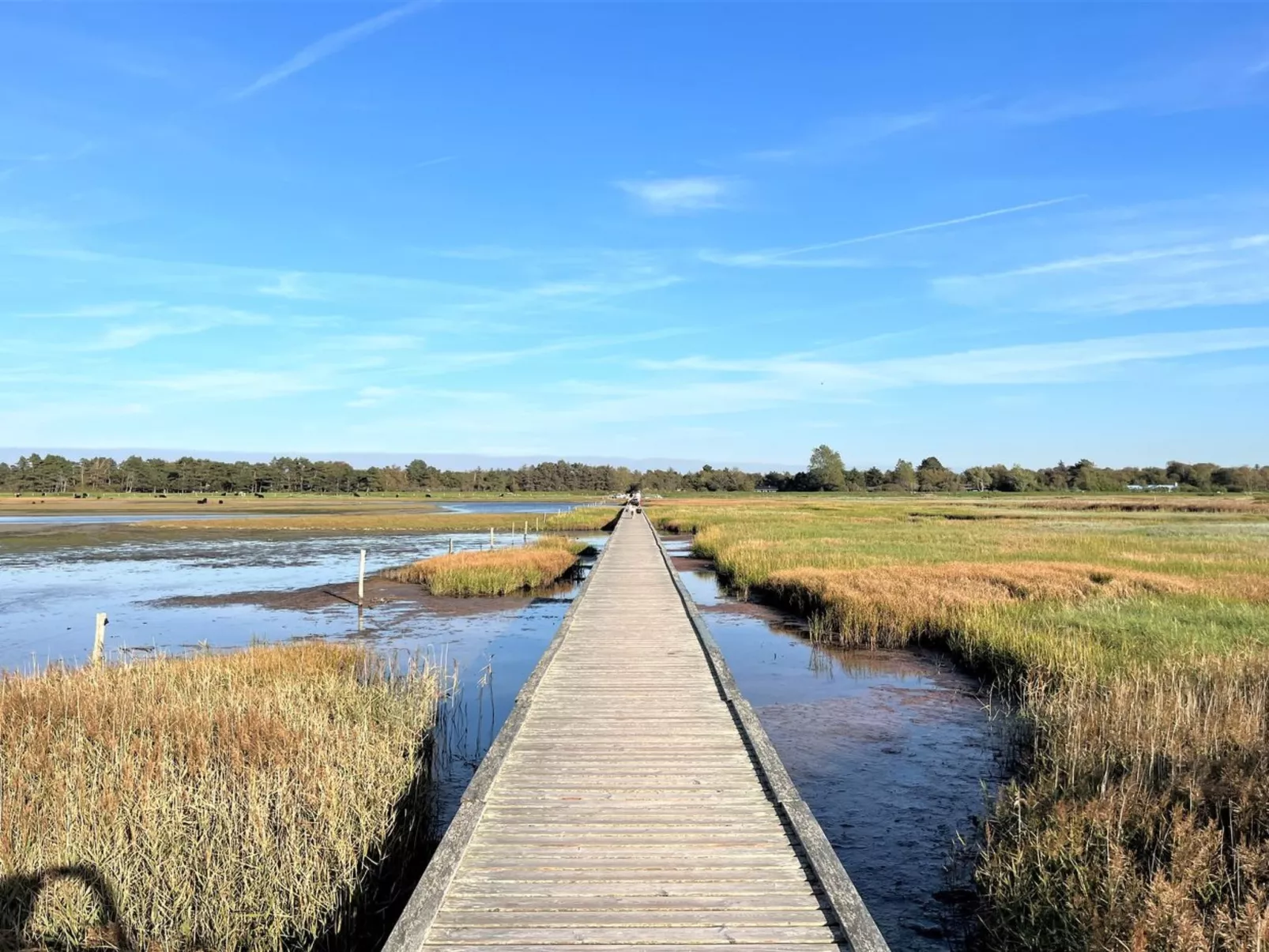 "Zezilie" - 500m from the sea-Binnen