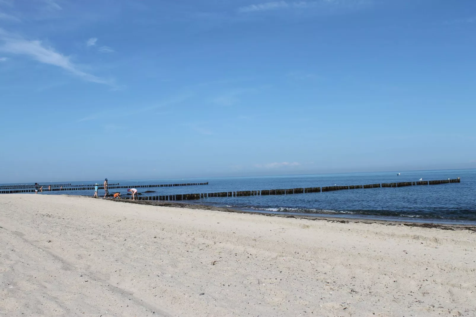 Im Grünen-Gebieden zomer 5km