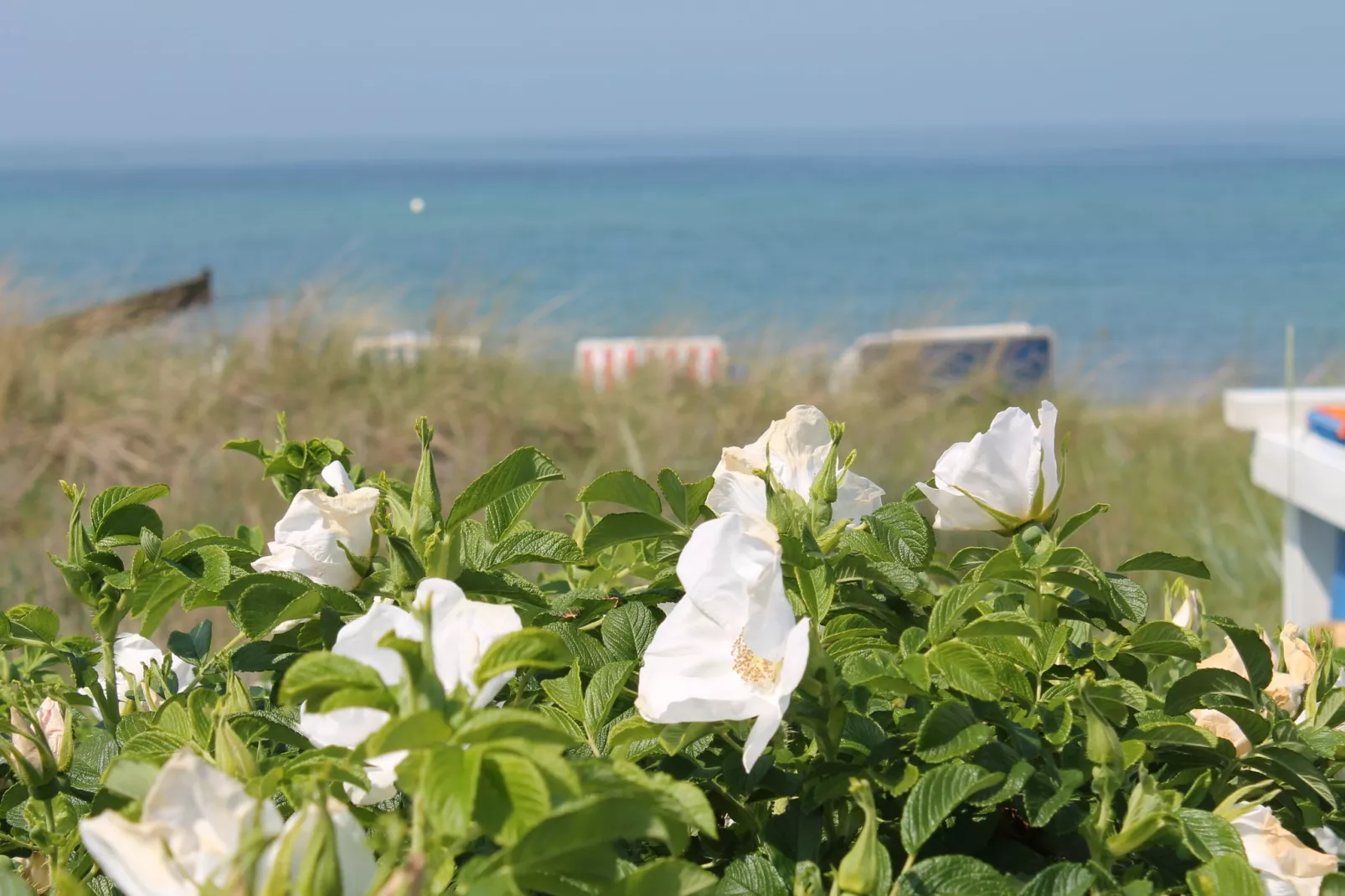 Im Grünen-Gebieden zomer 5km