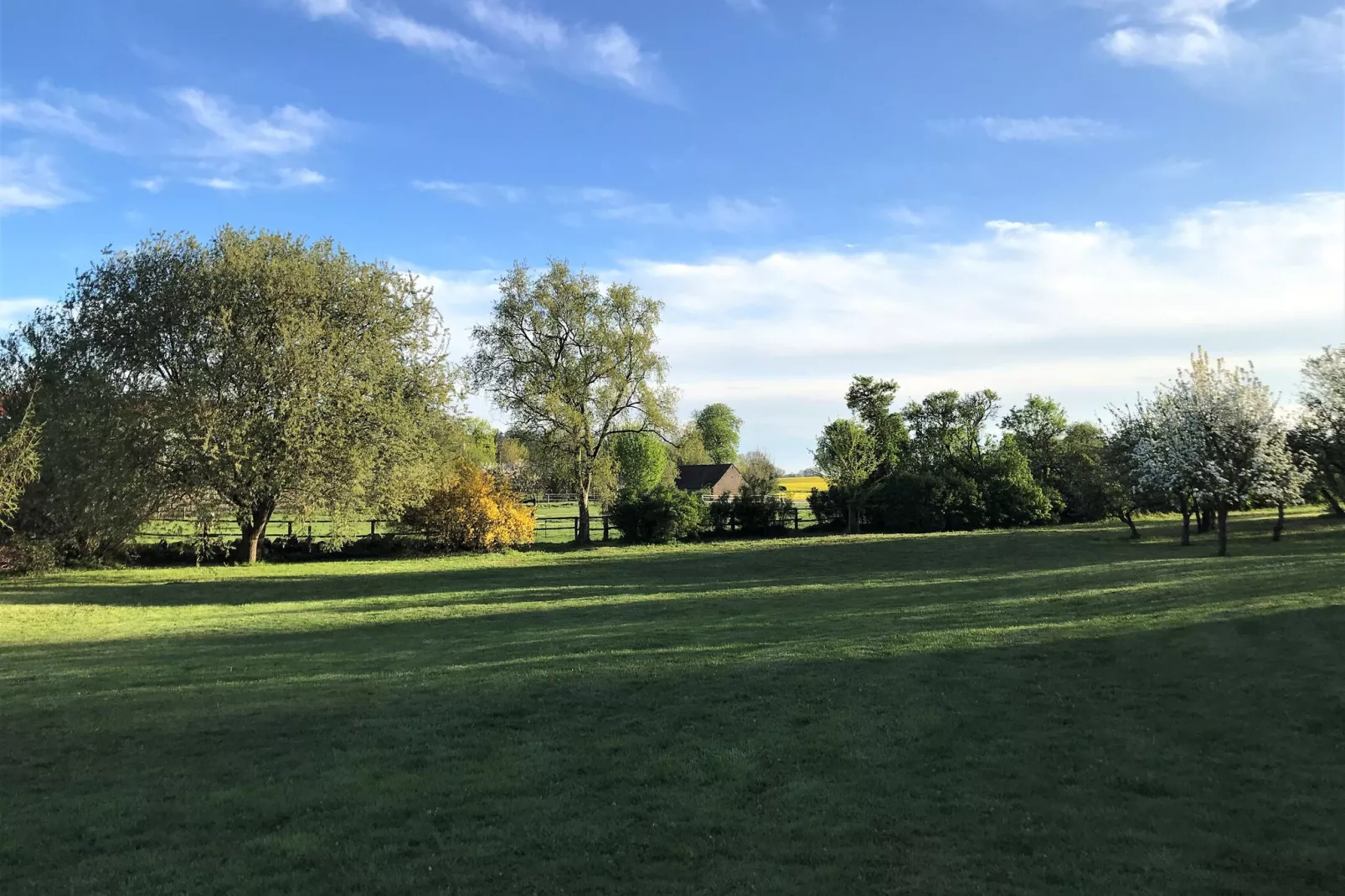 Ferienhaus Im Gutshofpark mit Sauna-Tuinen zomer