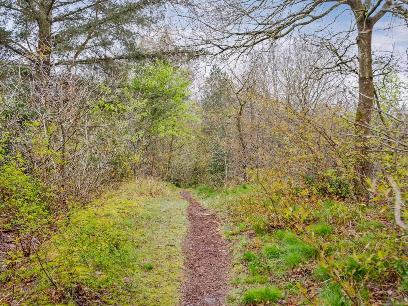 "Avni" - 300m from the sea-Buiten