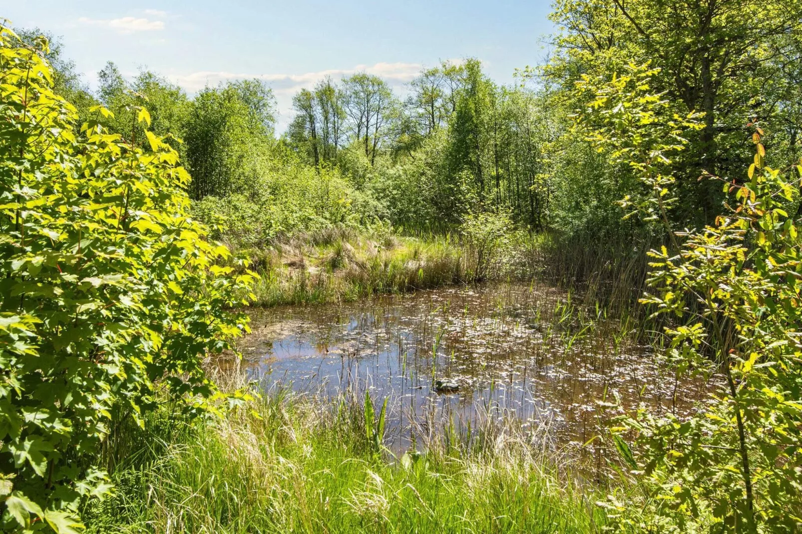 Idyllische Deense Boerderij Retreat-By Traum-Uitzicht