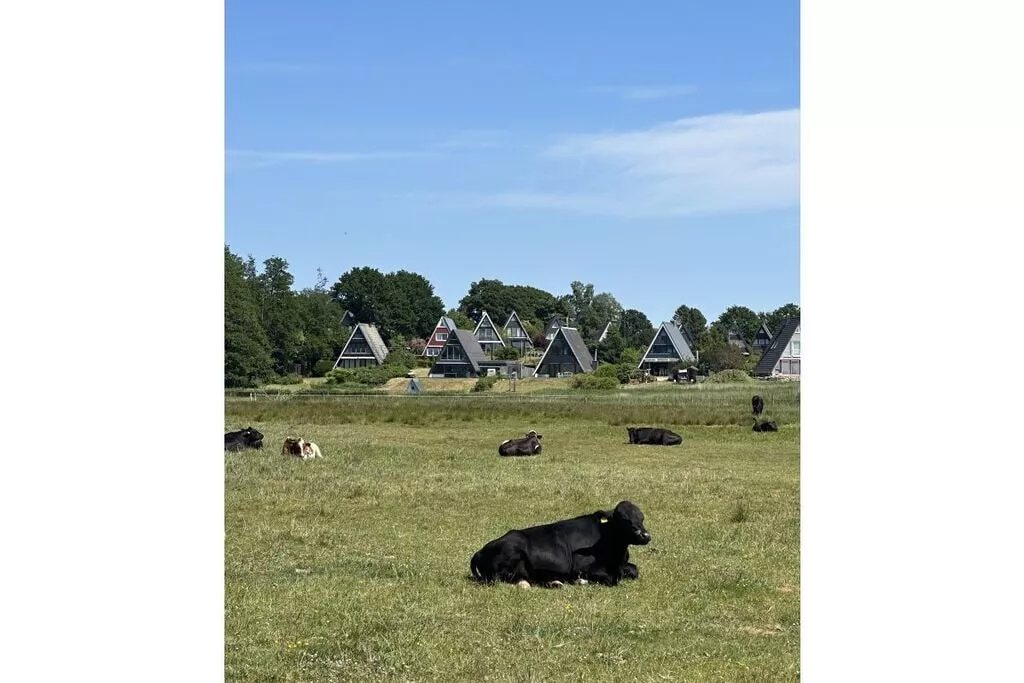458763-Niet-getagd