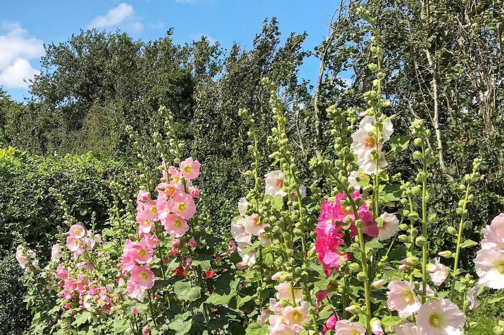 6 persoons vakantie huis in Aabenraa-By Traum-Buitenlucht
