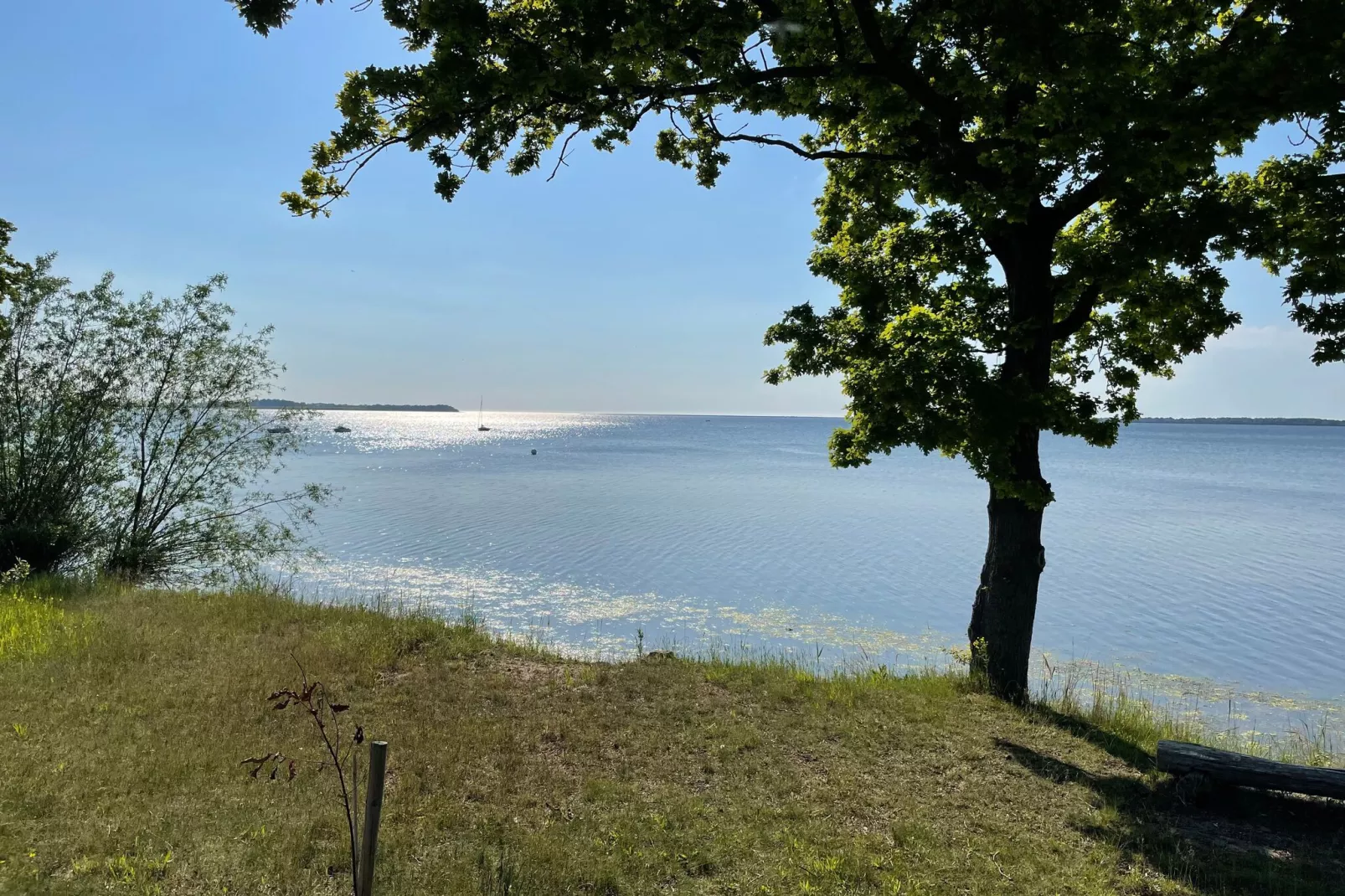 Bungalow Campingplatz am Salzhaff-Gebieden zomer 1km