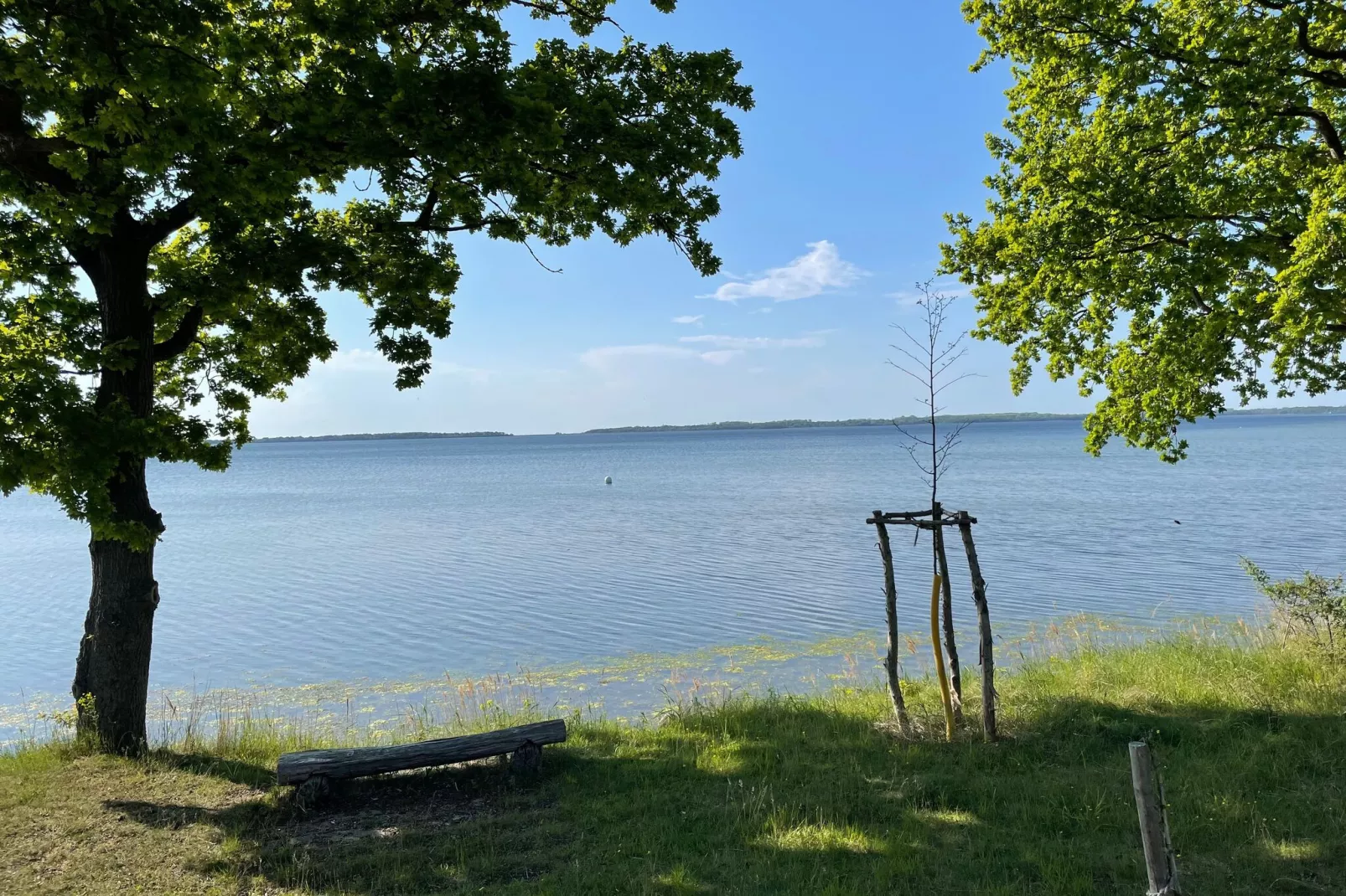 Bungalow Campingplatz am Salzhaff-Gebieden zomer 1km