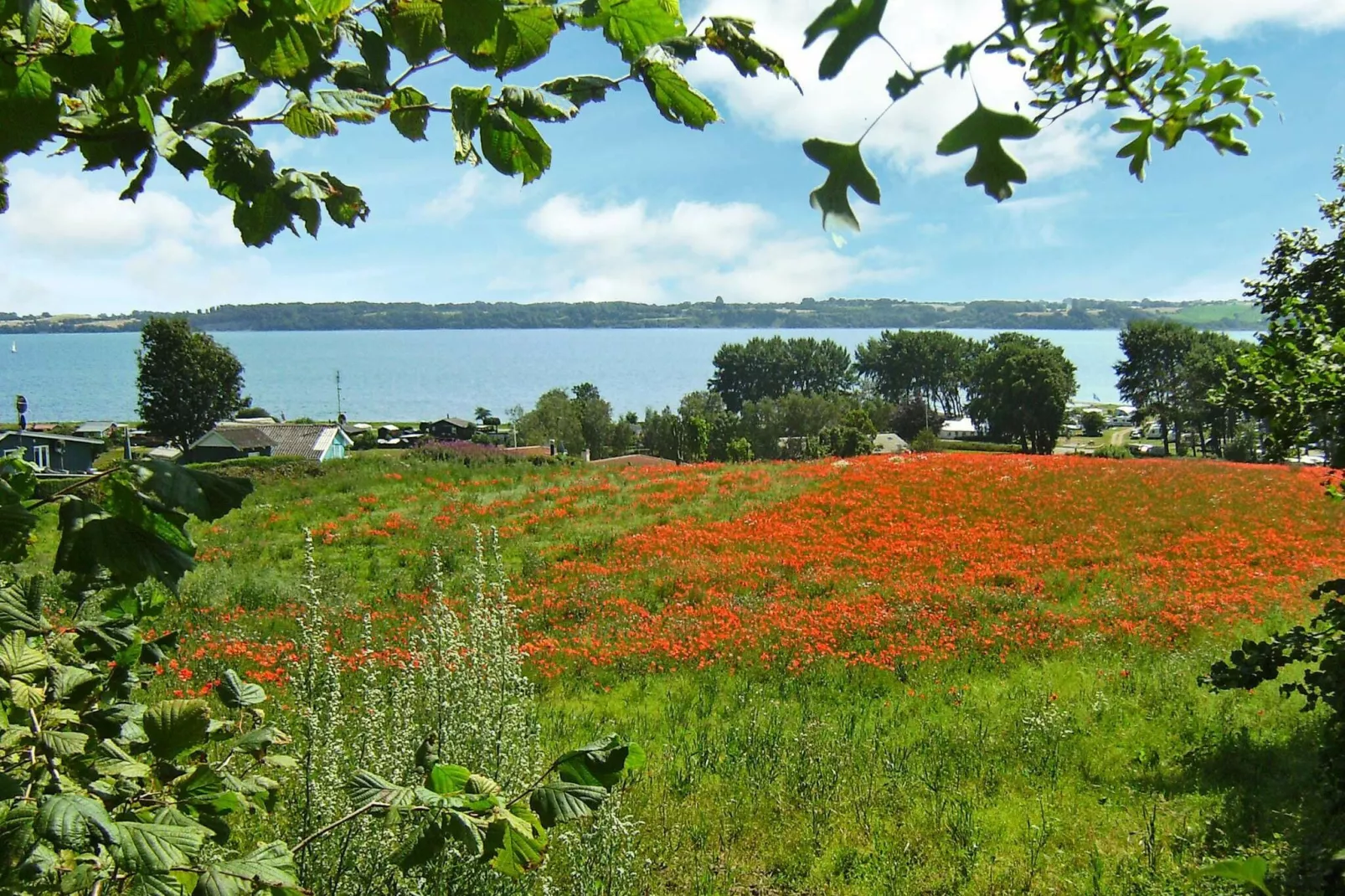 6 persoons vakantie huis in Aabenraa-By Traum-Niet-getagd