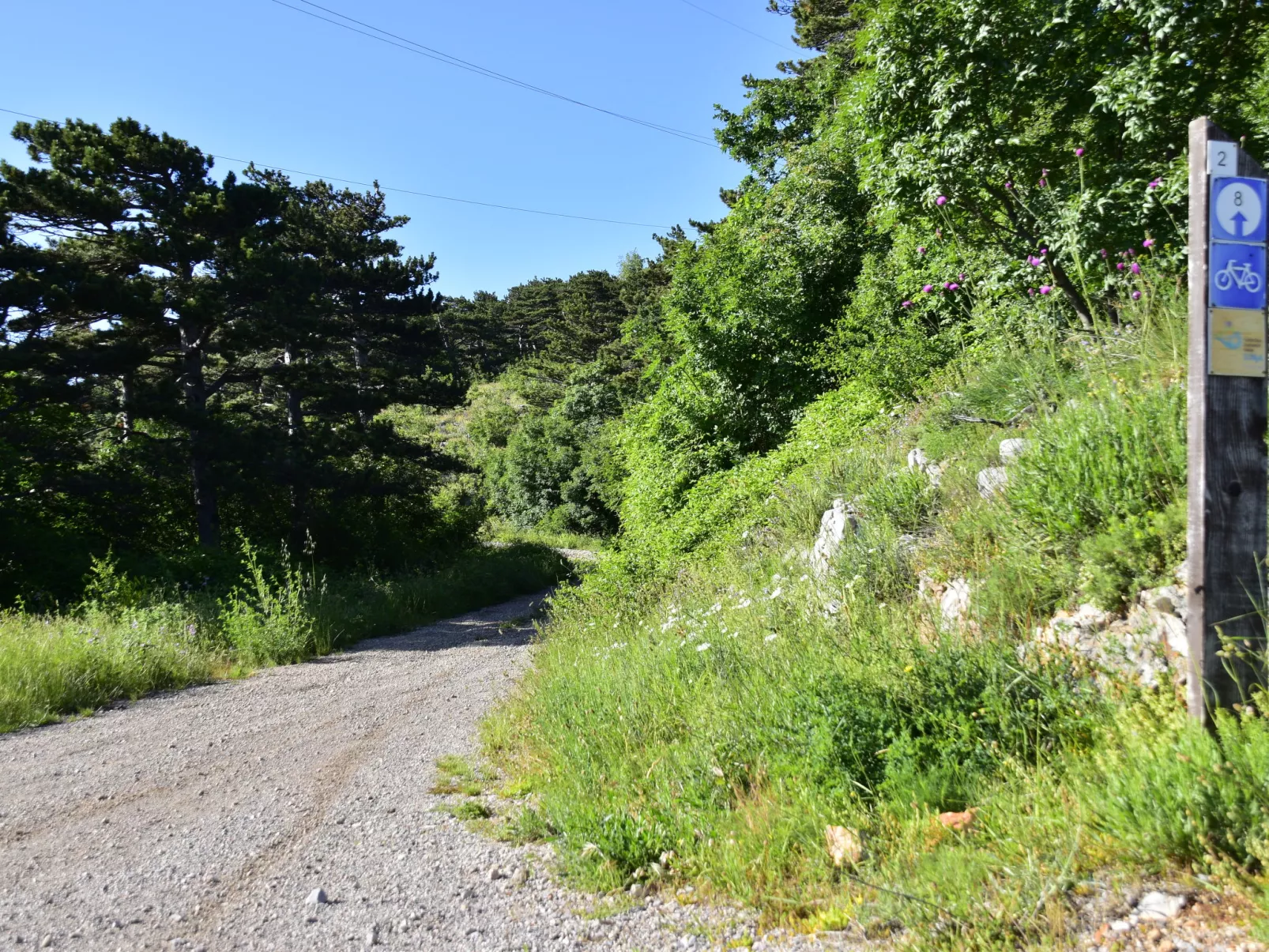 Miškulin-Omgeving