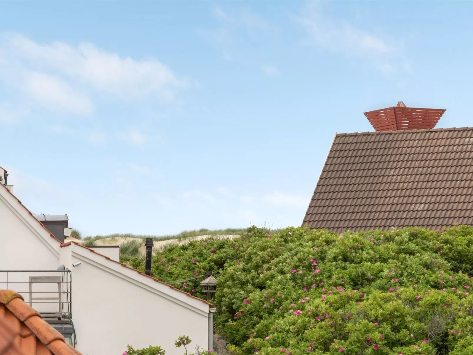 "Riki" - 150m from the sea-Buiten