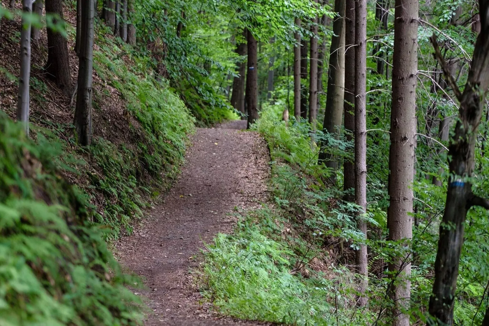 4 persoons vakantie huis in KOLMÅRDEN-Buitenlucht