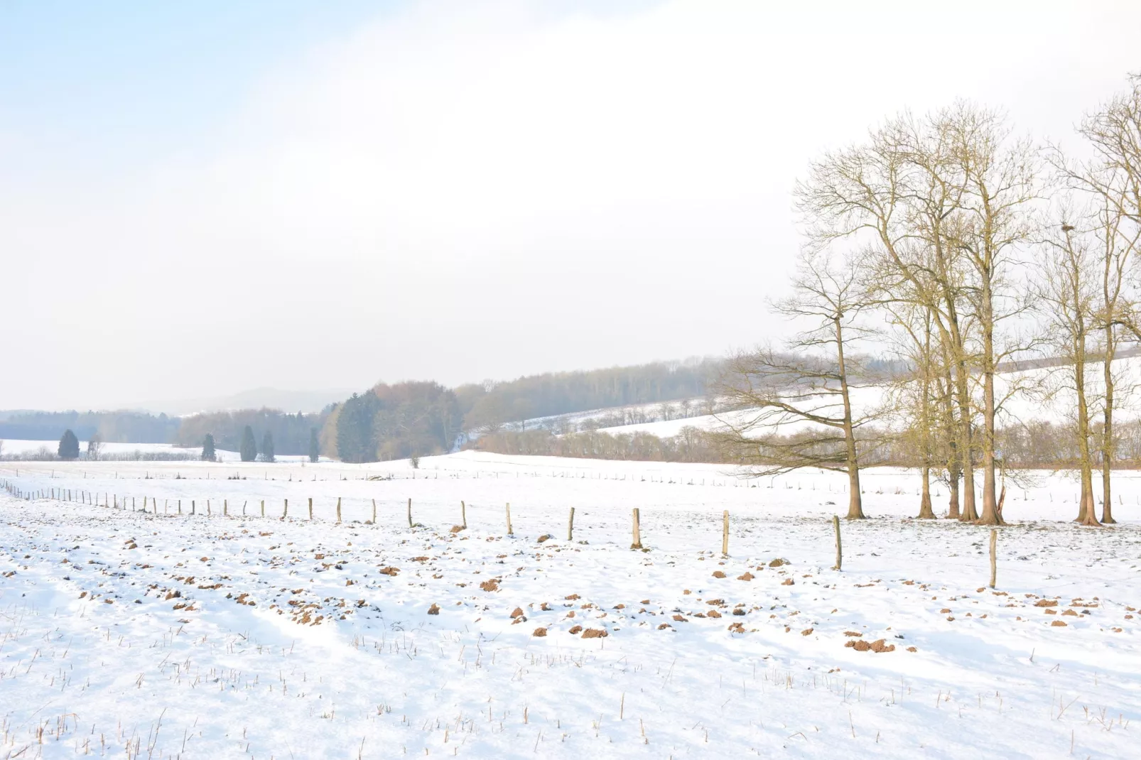 La Cour de Himbe-Uitzicht winter