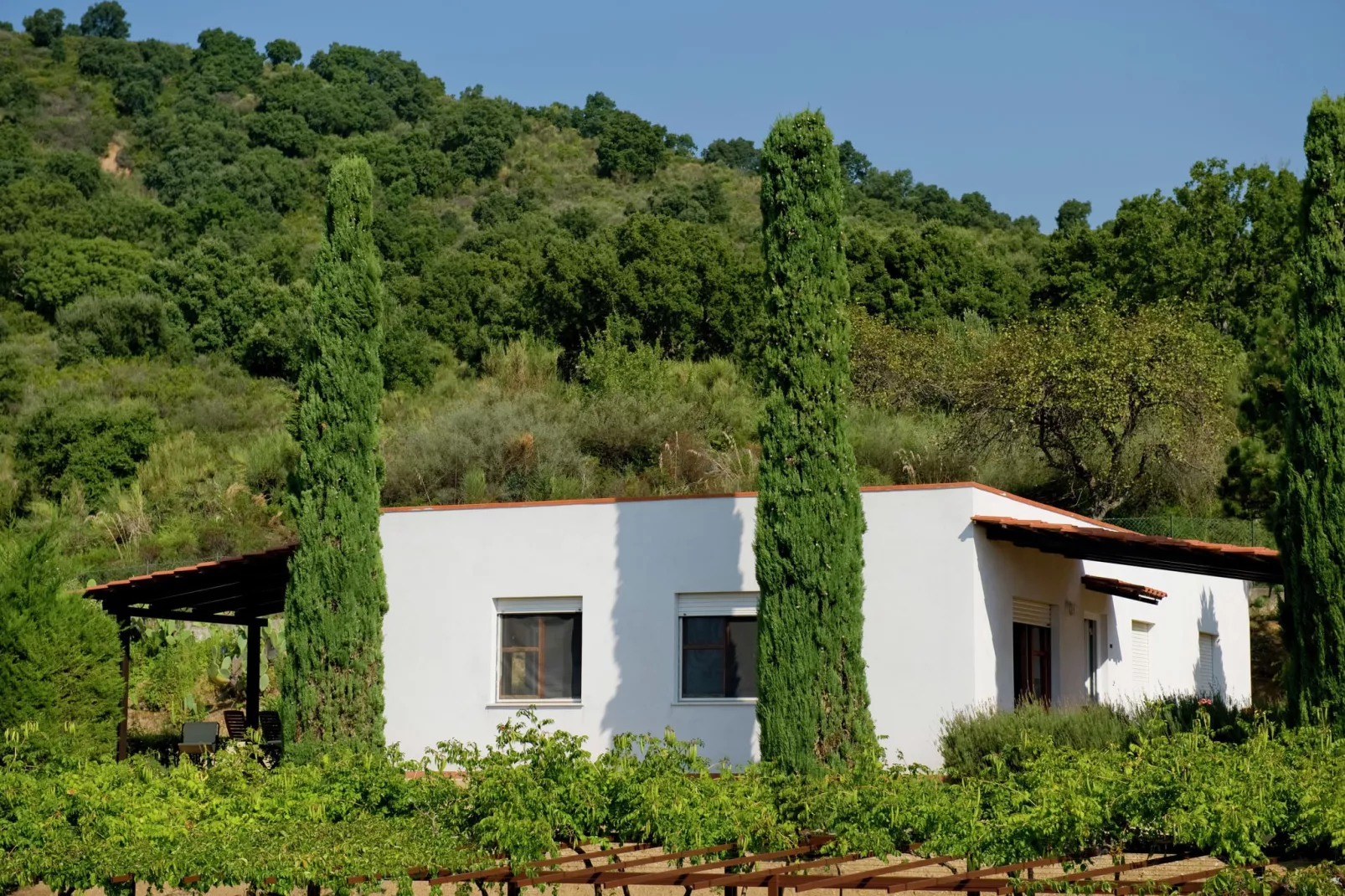 Casa Gialla-Buitenkant zomer