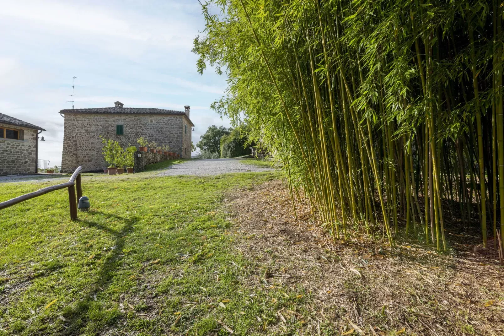 Casina-Gebieden zomer 1km