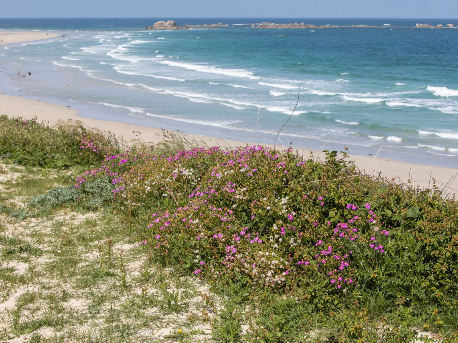 Brise Marine-Omgeving