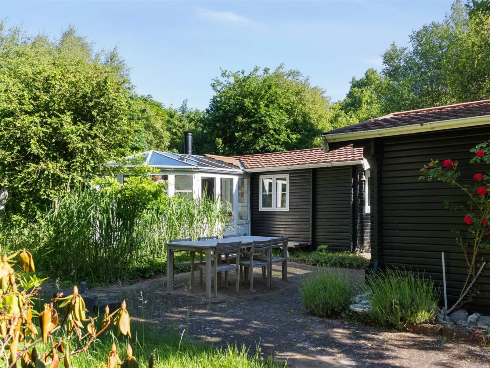 "Fedder" - 650m from the sea-Buiten