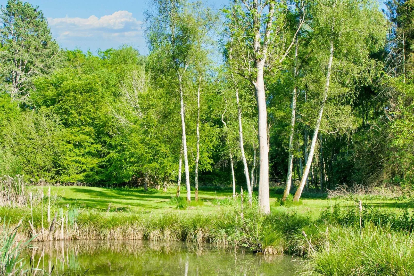 7 persoons vakantie huis in Hornbæk-By Traum-Uitzicht