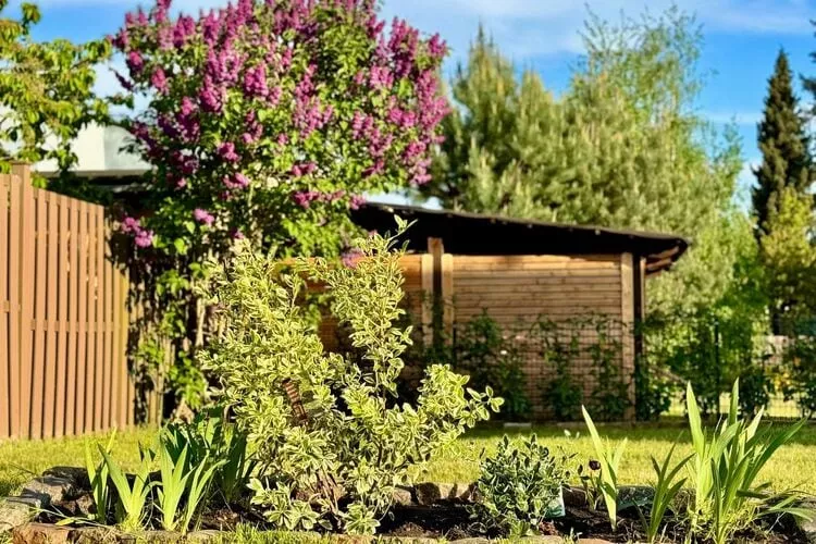 Ferienhaus Havelzeit - 4 Personen-Tuinen zomer