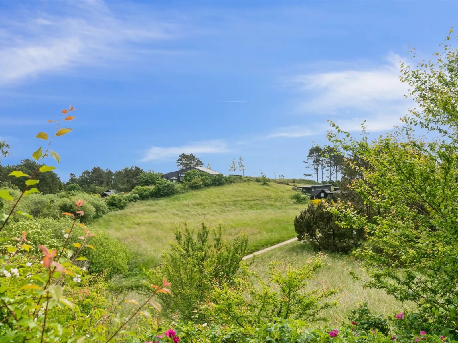 "Arntraud" - 250m from the sea-Buiten