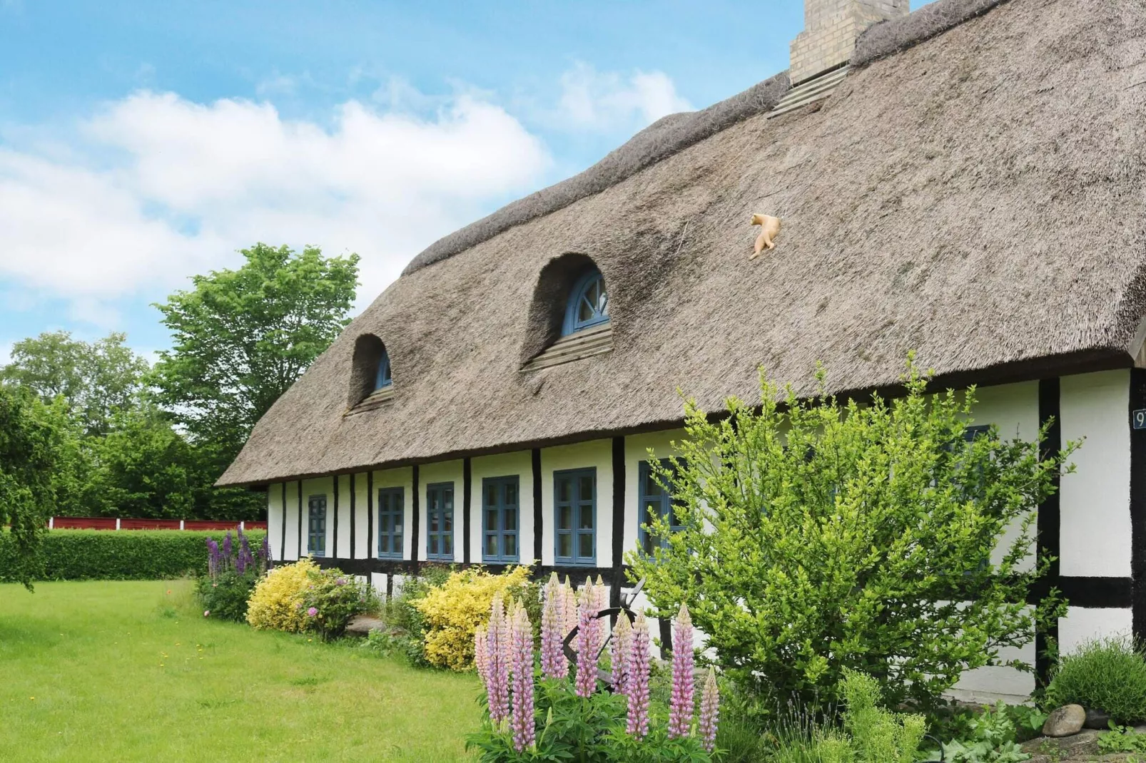 8 persoons vakantie huis in Hadsund-By Traum-Buitenlucht