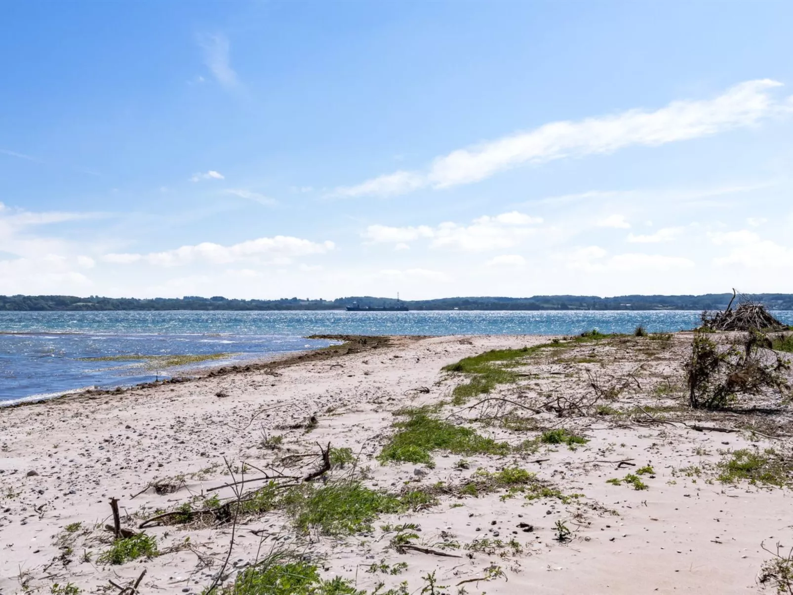 "Fokke" - 450m from the sea-Buiten