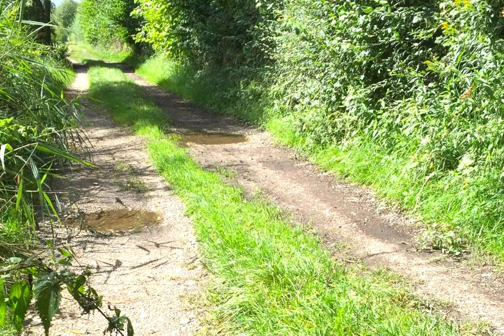 Ferienwohnung am Bauernhof-Gebieden zomer 1km