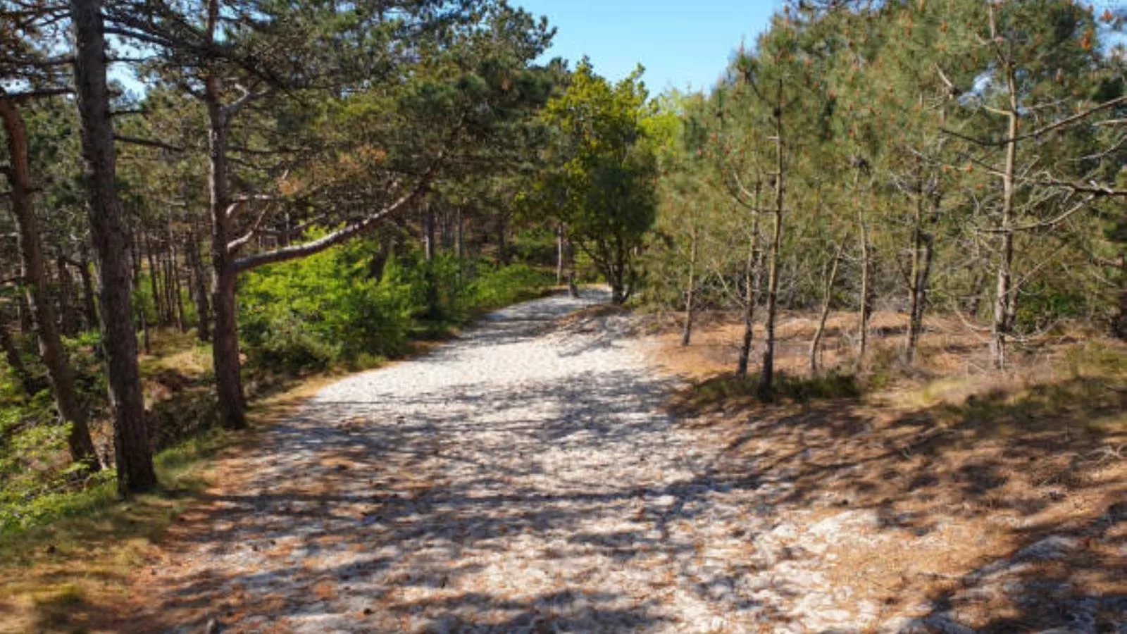 Schoorlse Duinvoet-Gebieden zomer 5km