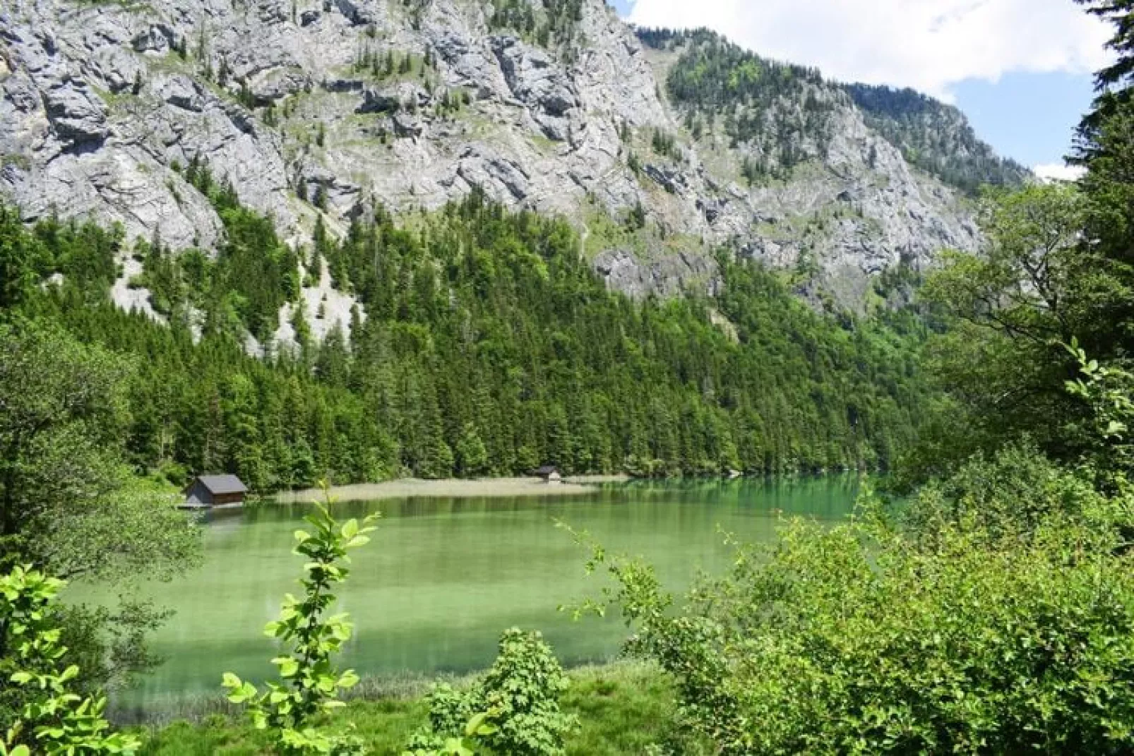 Ferienhütte Trabochersee-Uitzicht zomer