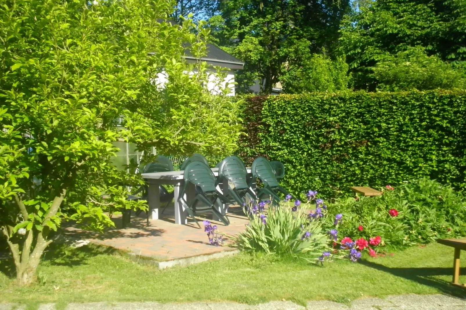 Am Burggarten-Tuinen zomer