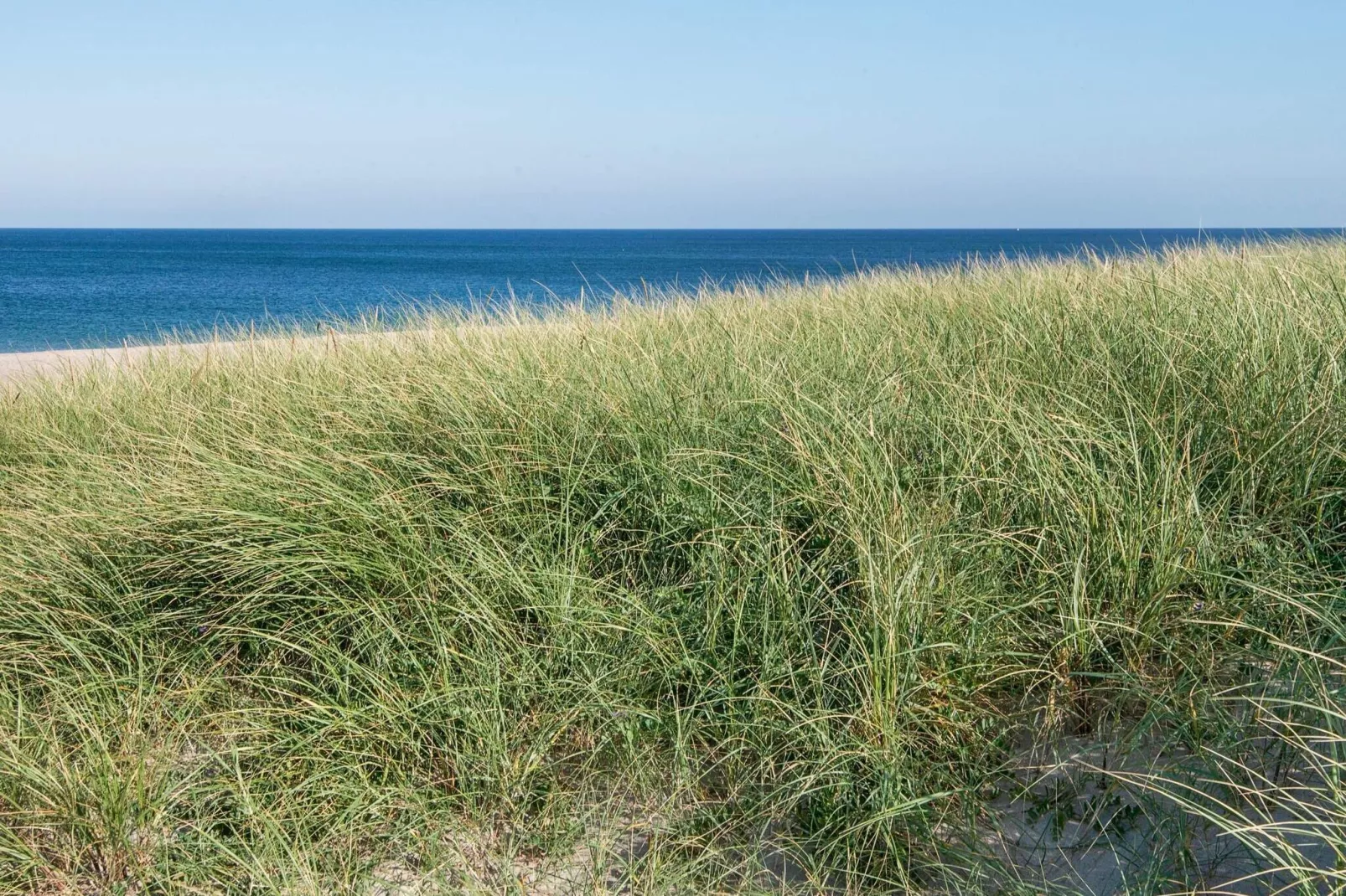 12 persoons vakantie huis in Harboøre-By Traum-Niet-getagd