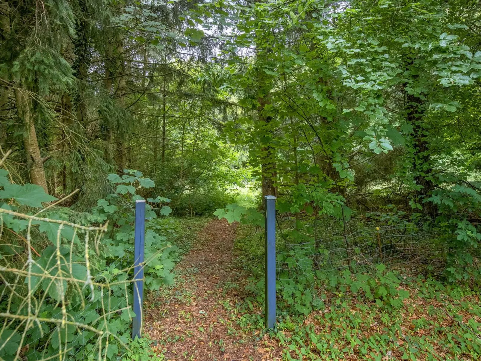 "Gudrid" - 250m to the inlet-Buiten