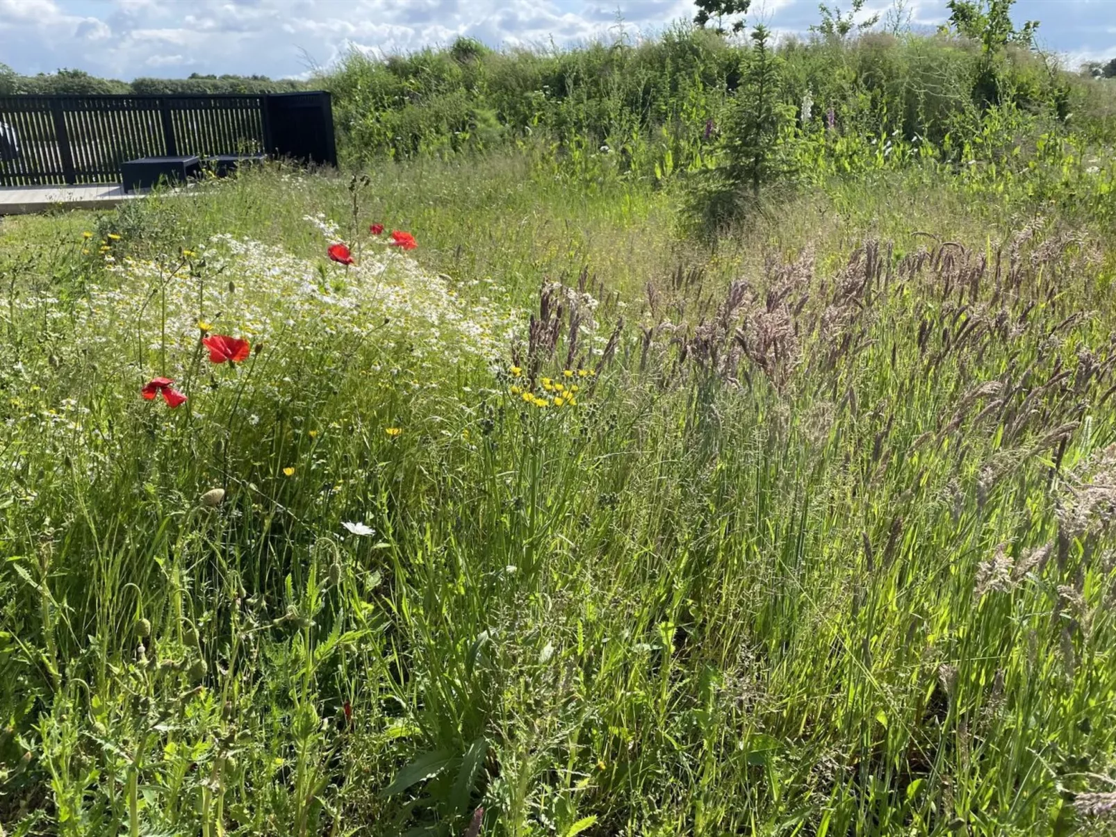 "Anelle" - 500m from the sea-Buiten