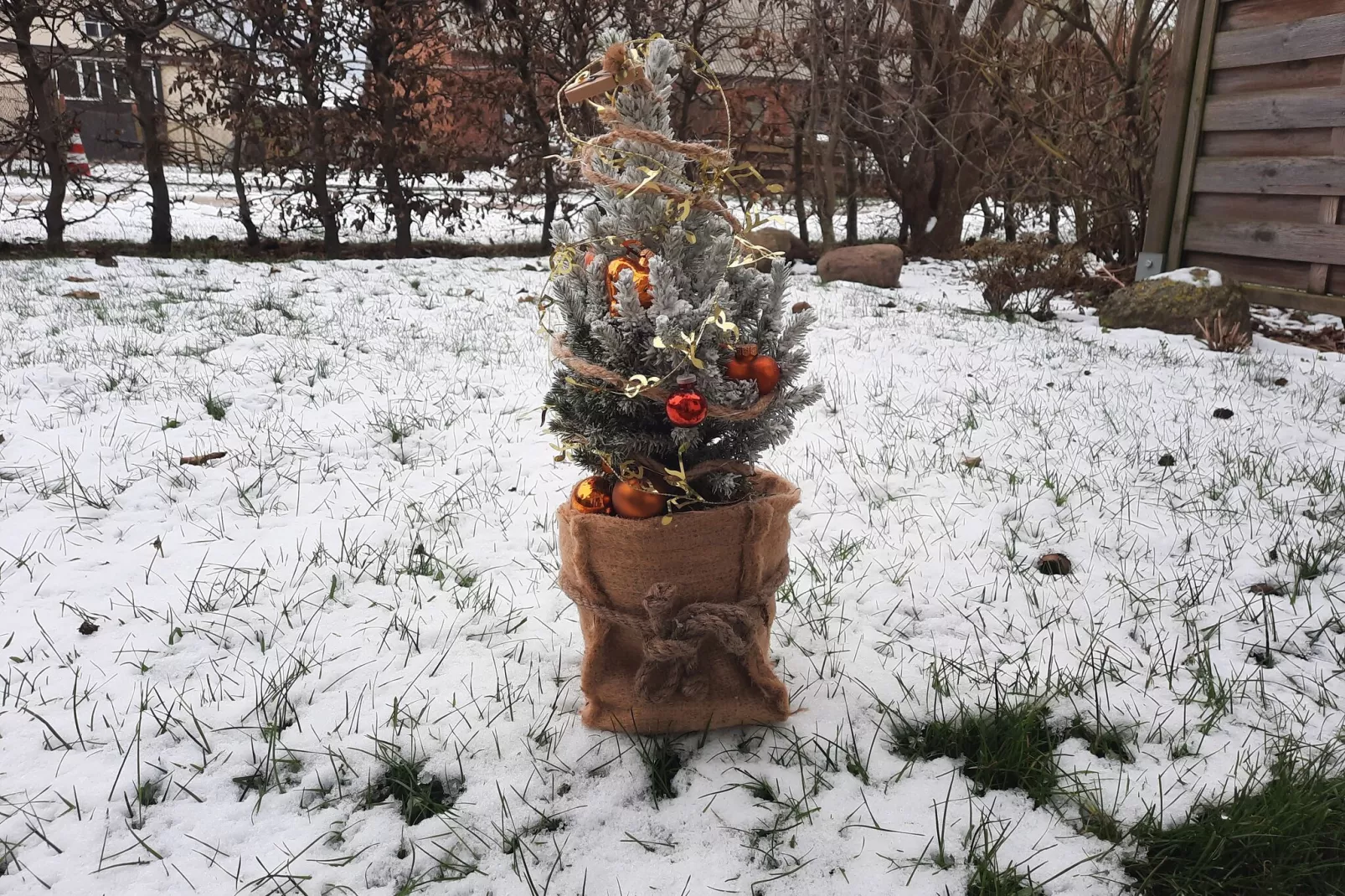 Ferienwohnung Sommerbrise-Tuin winter