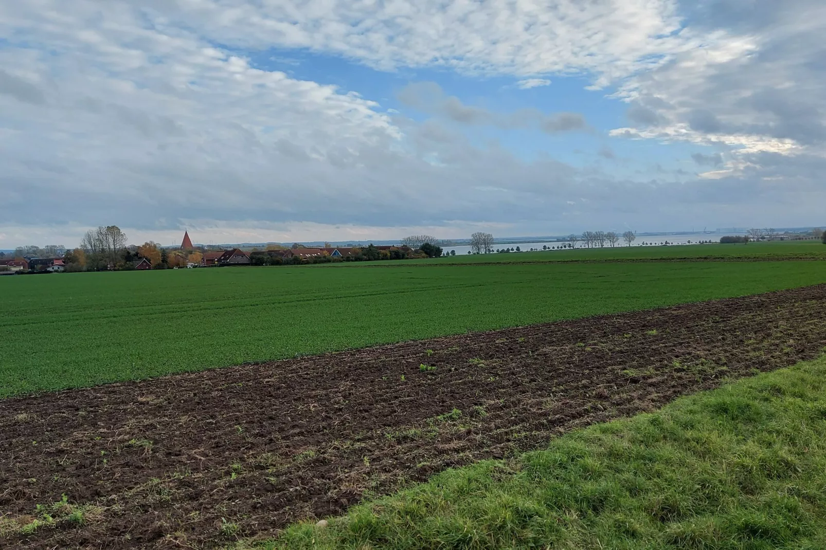 Ferienwohnung Sommerbrise-Gebieden zomer 1km