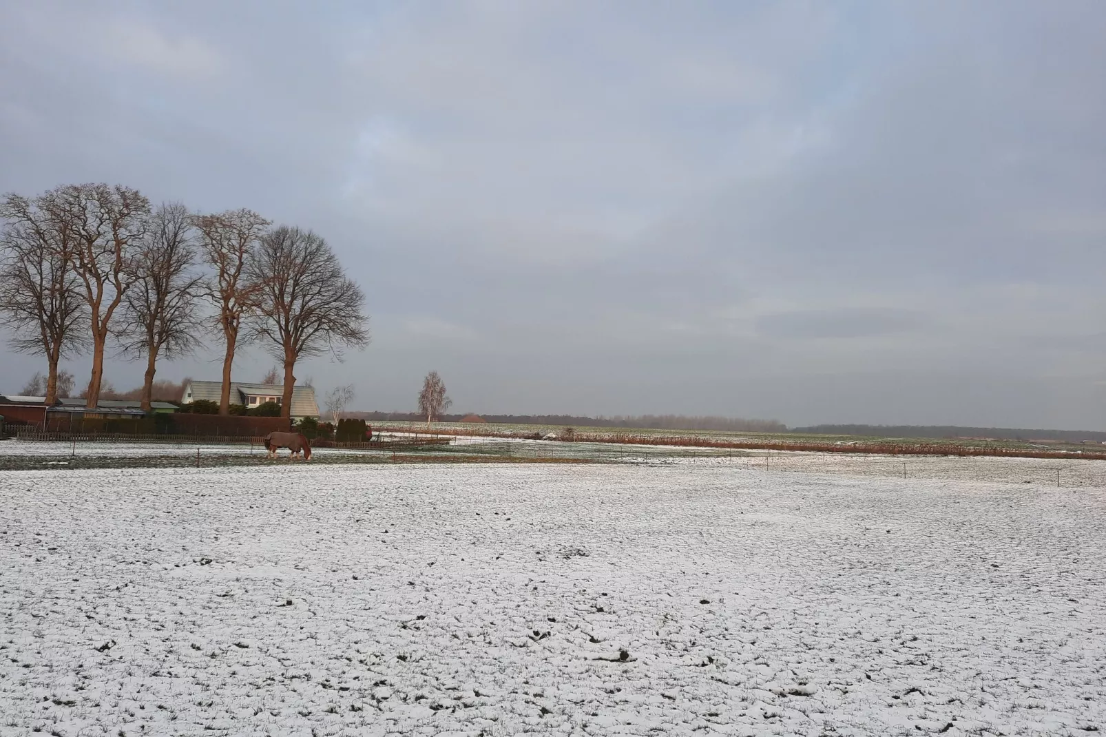 Ferienwohnung Sommerbrise-Gebied winter 1km