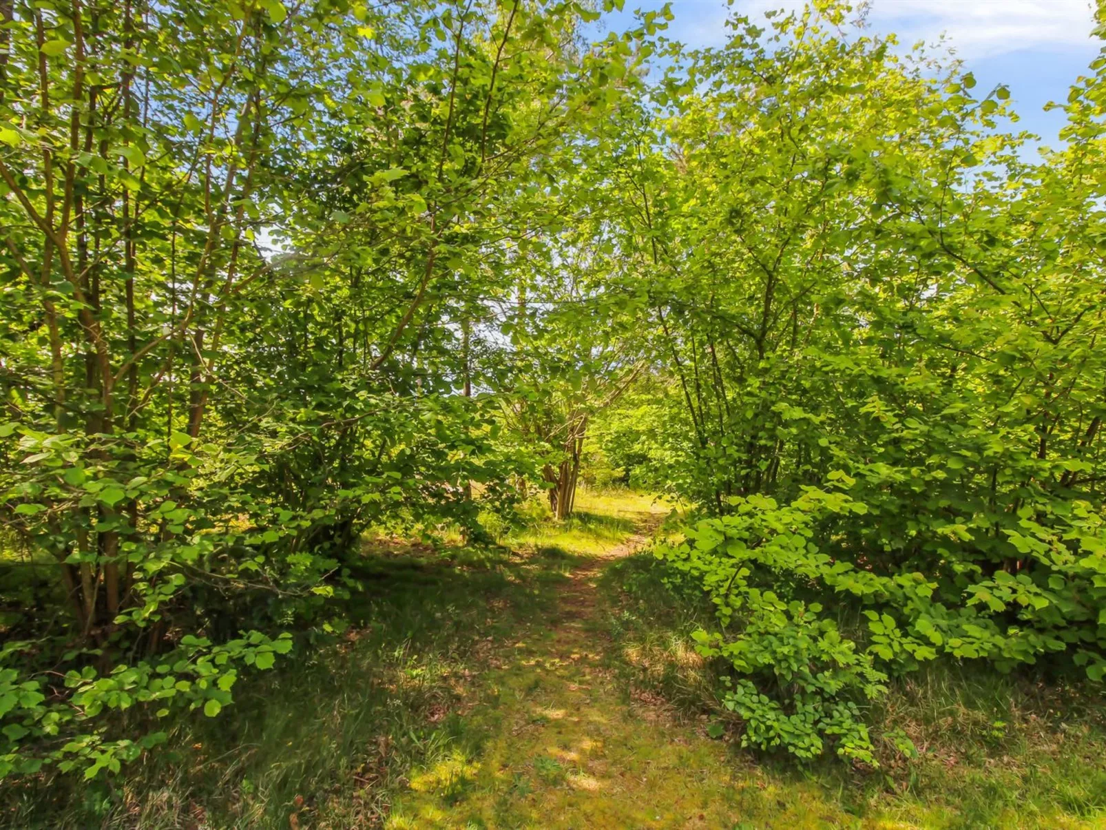 "Gullmaj" - 200m from the sea-Buiten